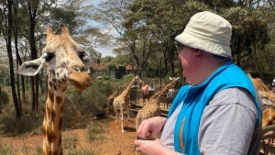 Interact with Giraffes