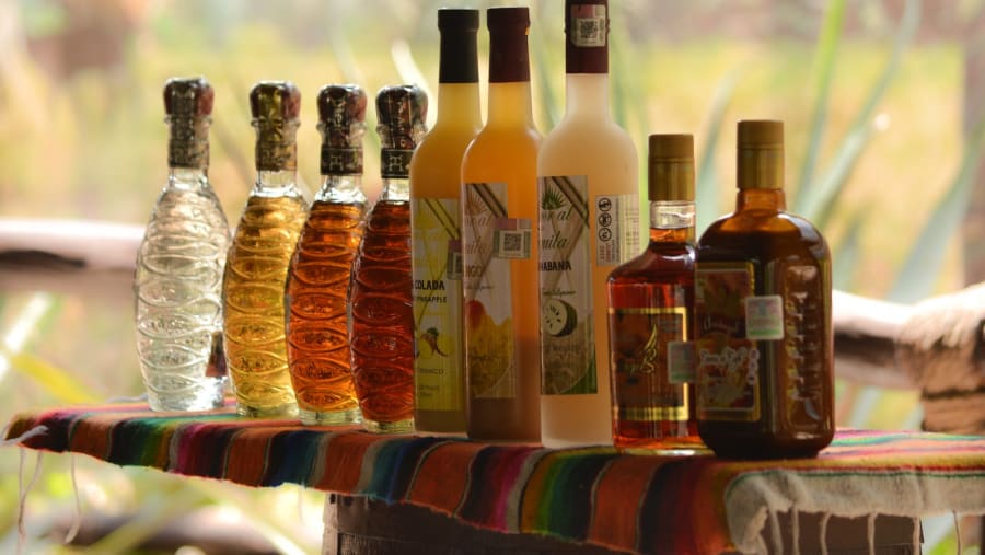 Take this Tequila Tour