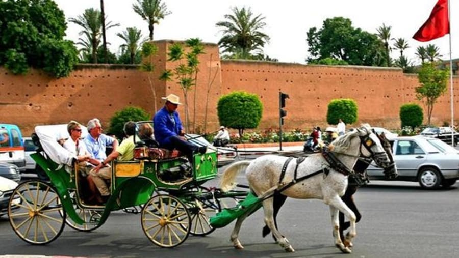 Enjoy Ramparts-Gardens Tour in Marrakech
