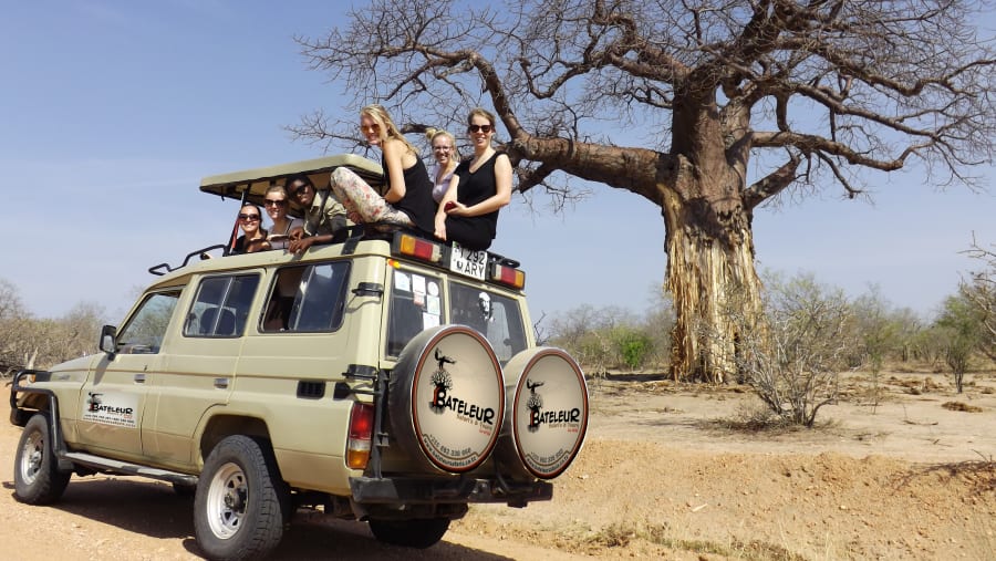 Safari in Ruaha National Park