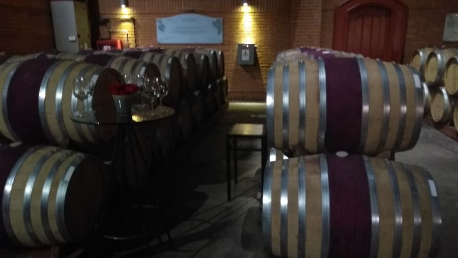 Ruta Del Vino Del Valle de Casablanca Chile