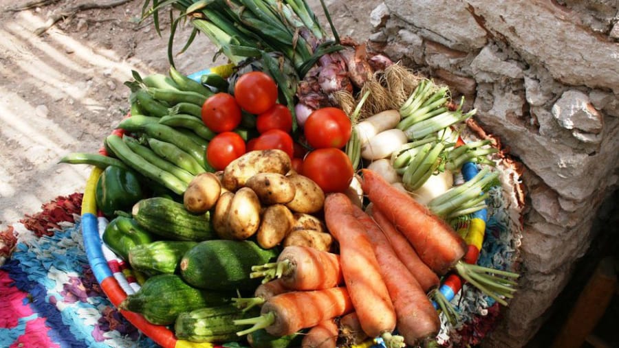 Raw veggies for cooking