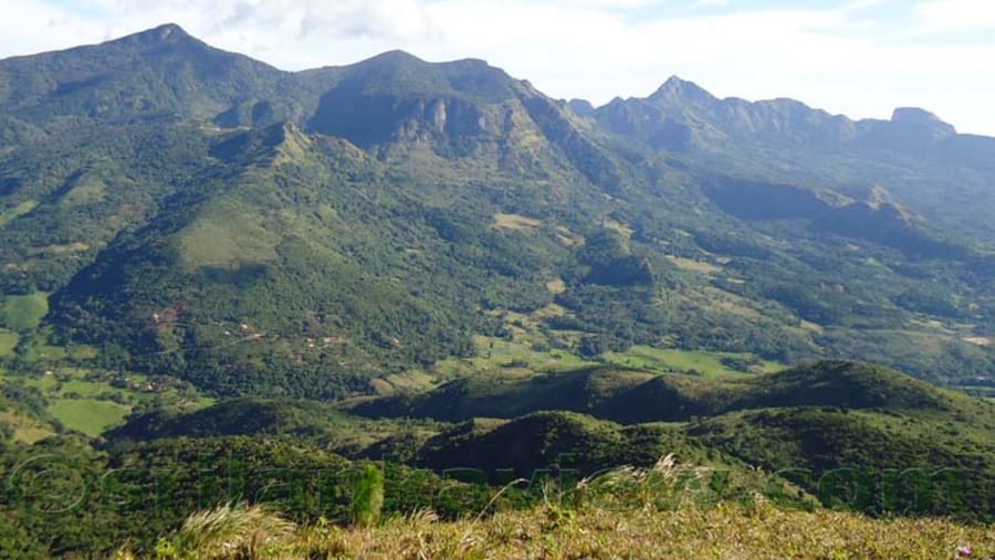 Knuckles Mountain Range Trek