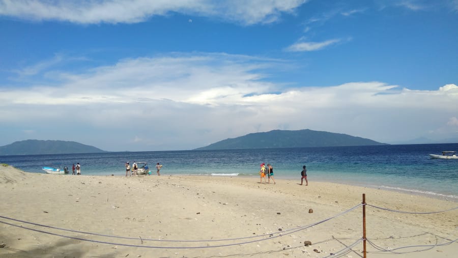 Beach Visit