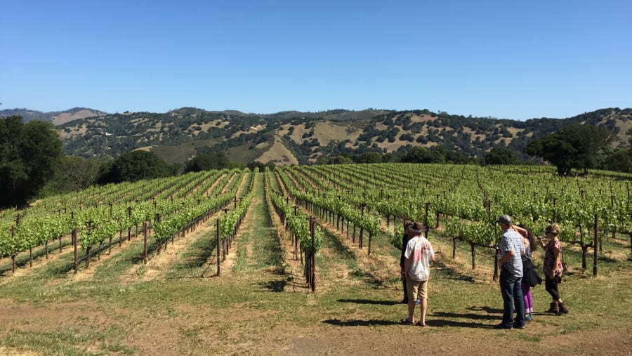 Tour the vineyards of Napa and Sonoma County, California