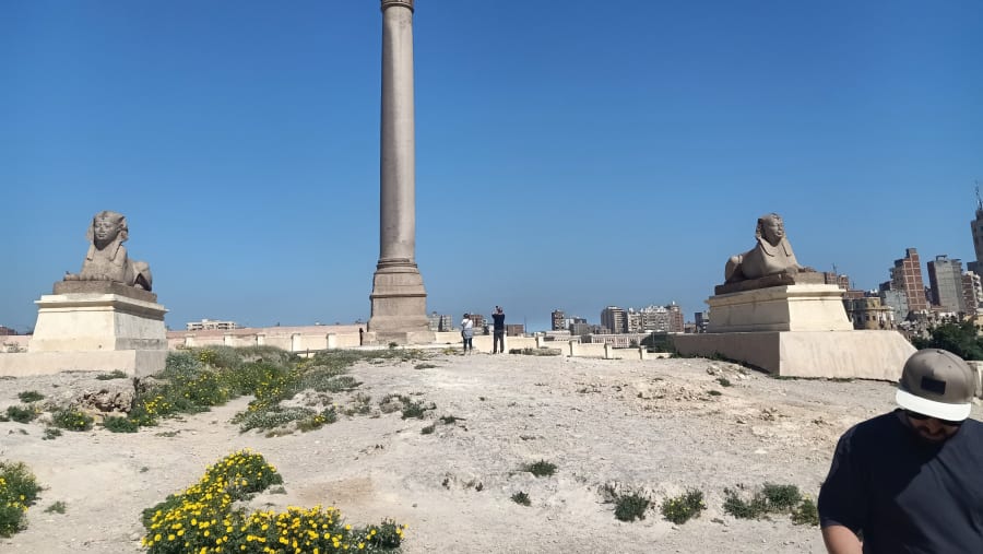 Marvel at Pompey's Pillar