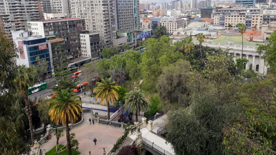 Skyscrapers and Trees of Santiago
