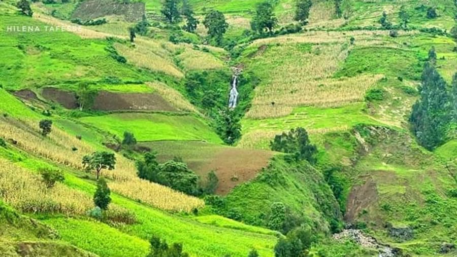 Ethiopia- Lush with greenery