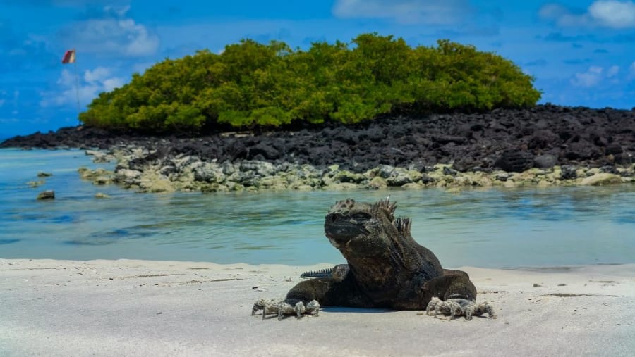 Galapagos Islands