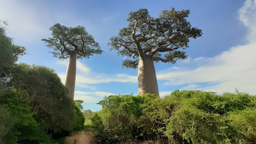 Madagascar