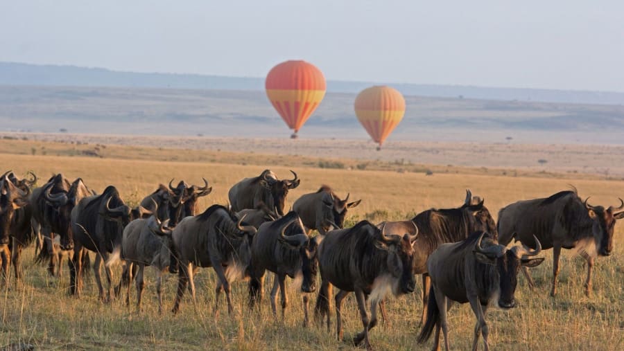 Serengeti National Park