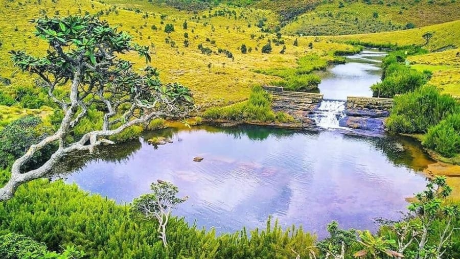 Horton Plains