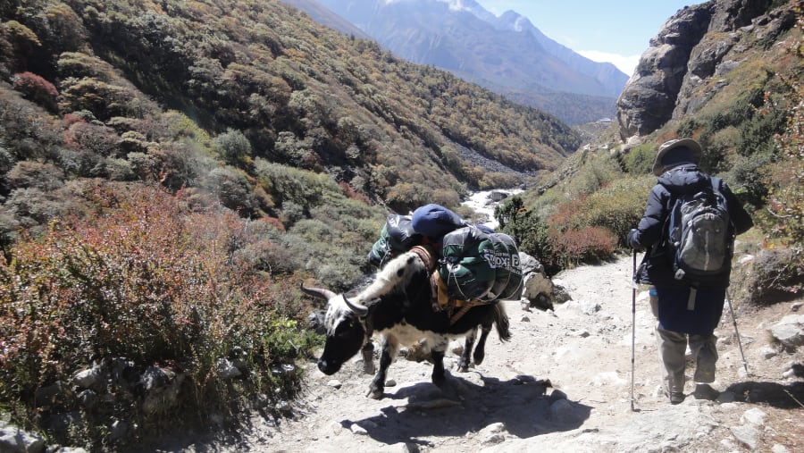 Everest Base Camp