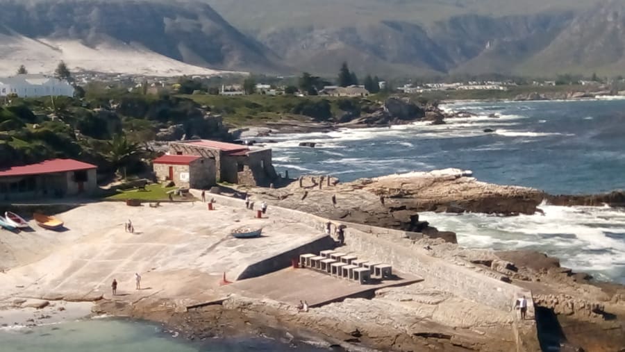 Hermanus