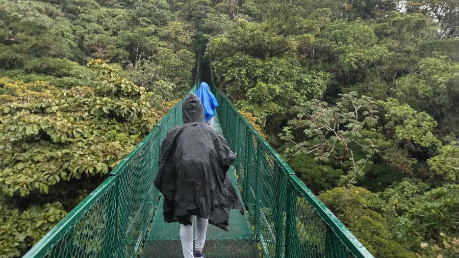 Hanging Bridges