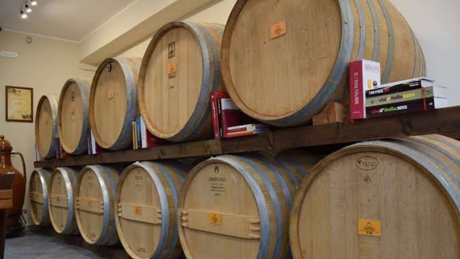 Guagnano Winery