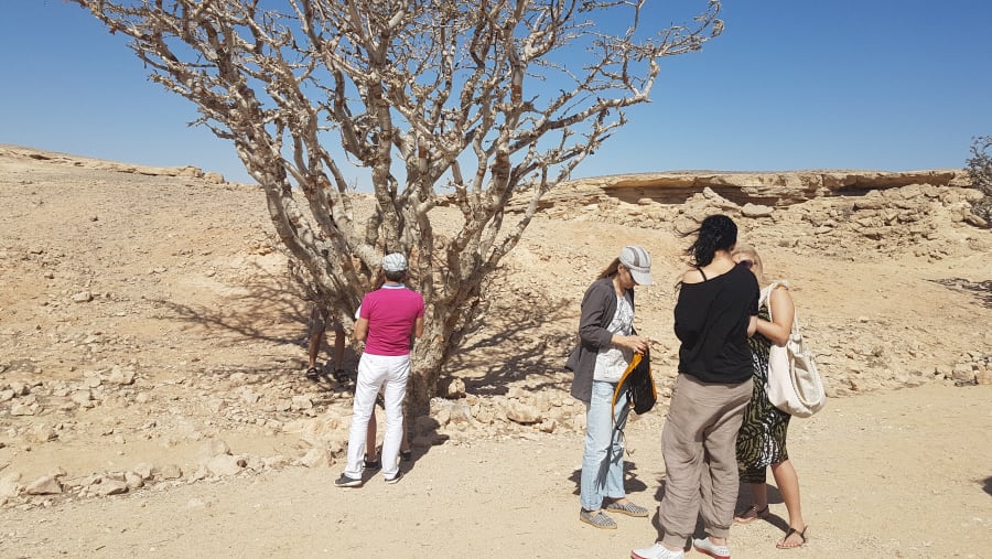 Rub' al Khali Desert In Oman