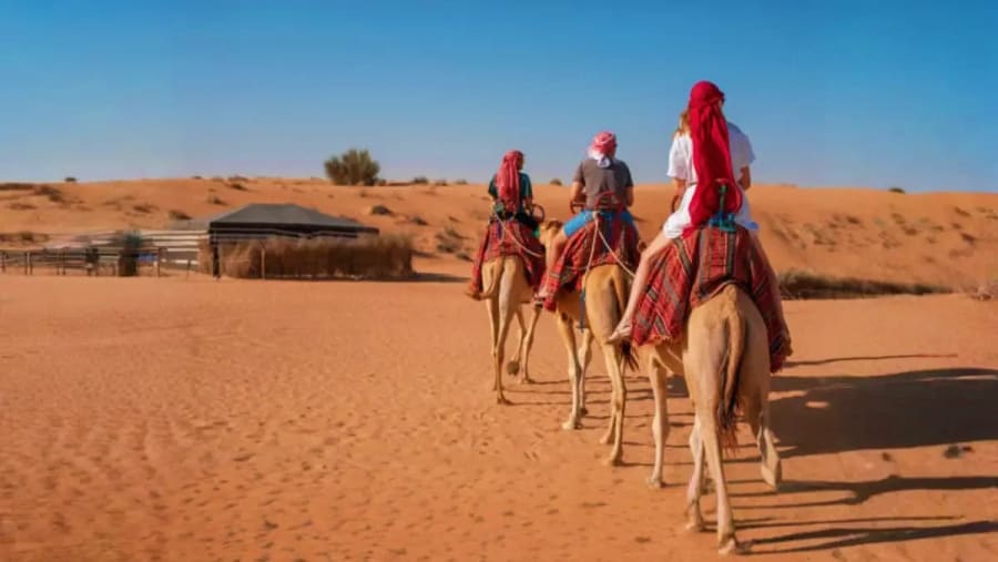 Camel Riding Desert Safari