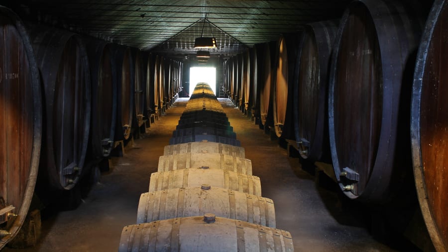 Wine Cellar