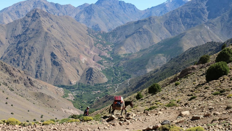 Atlas Mountain