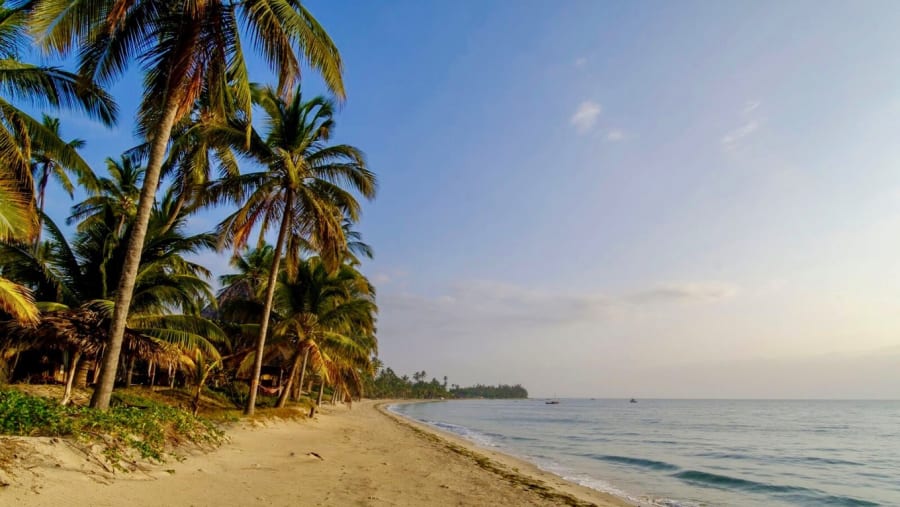 Explore Ushongo Beach