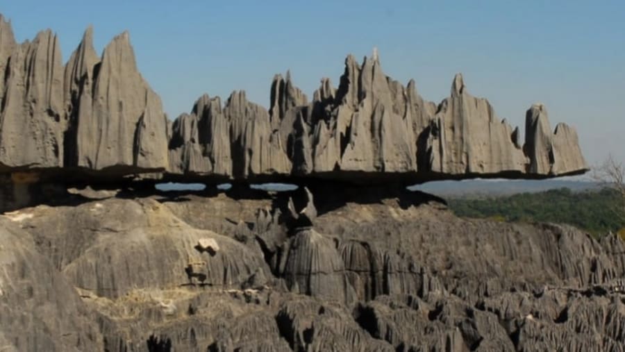 Tsingy Peaks Forest
