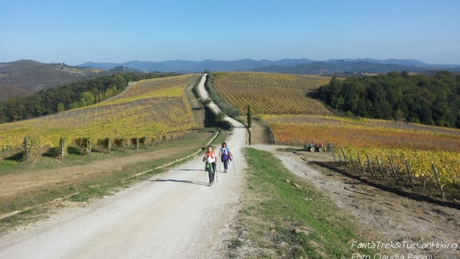 Hiking in the Chianti Area