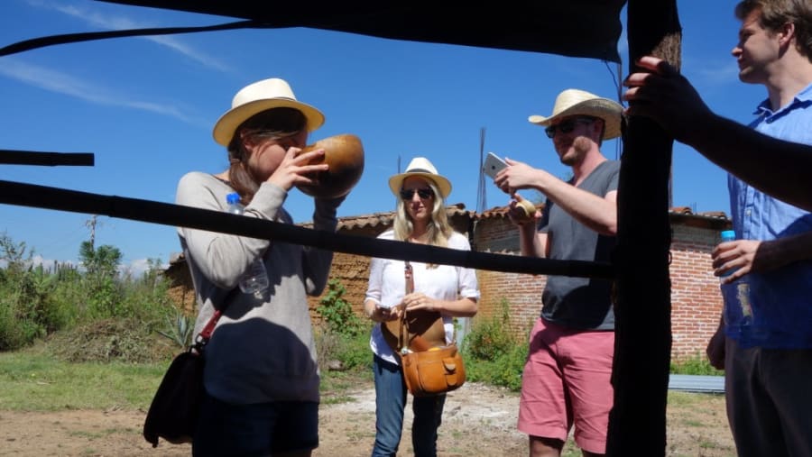 Oaxaca Mezcal Tour
