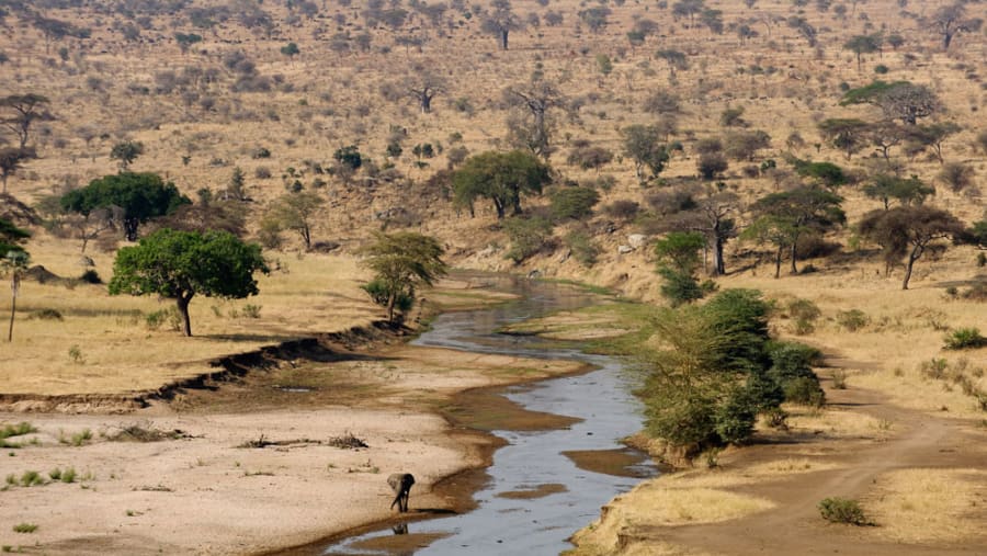 Tarangire National Park Tour