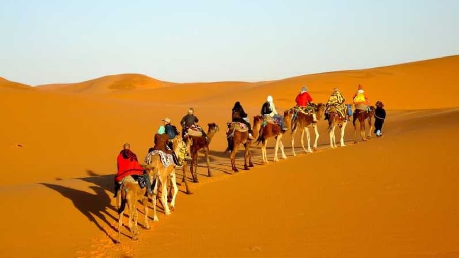 Sahara Desert