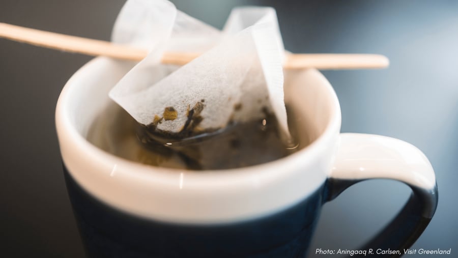 Nuuk Greenlandic Tea Tasting