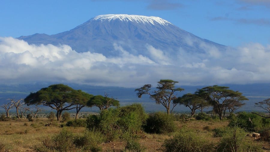 Witness ethereal views at Mount Kilimanjaro