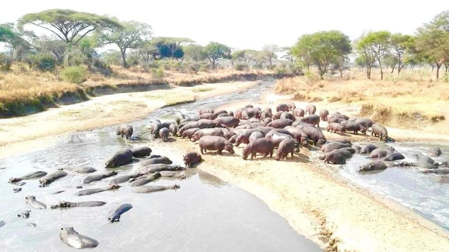 lake manyara