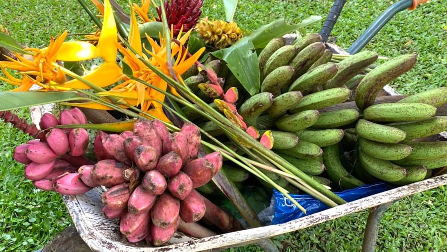 Tagaytay Countryside Sightseeing Tour