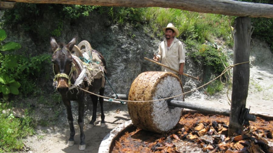 Oaxaca Mezcal Tour