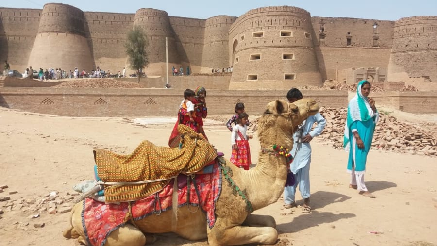 Camel ride
