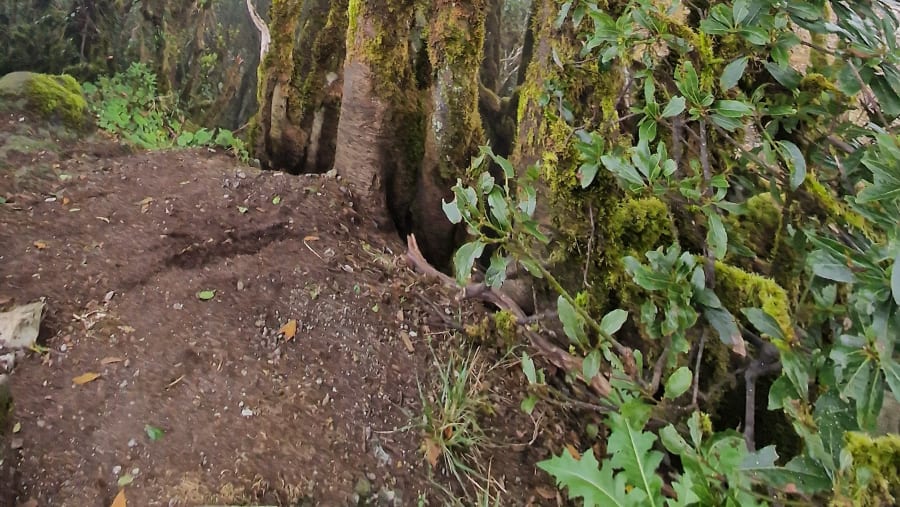 Anaga Biosphere Reserve