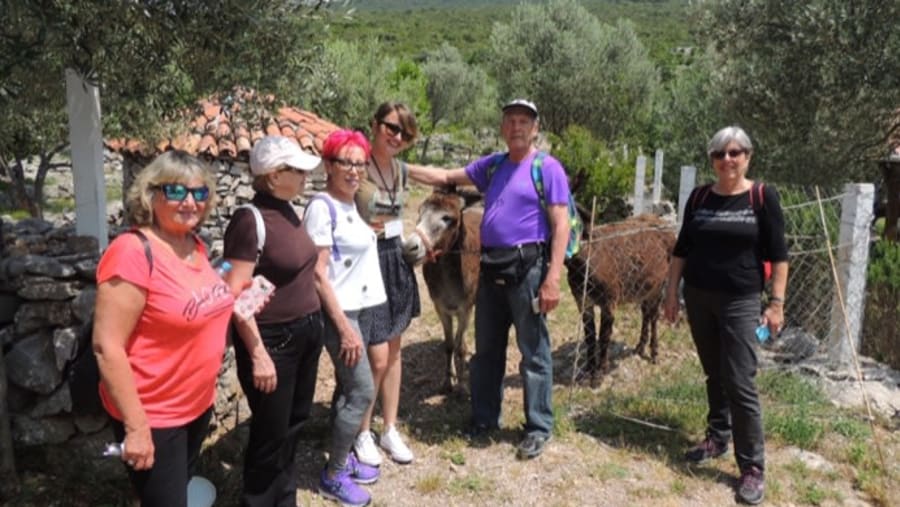 Olive Farm Visit