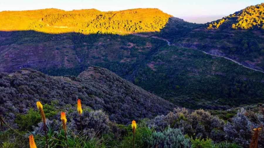 Simien Mountains national park