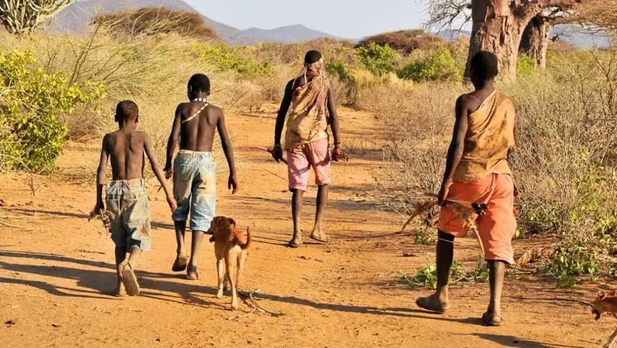Stroll across the rugged terrains of Zanzibar