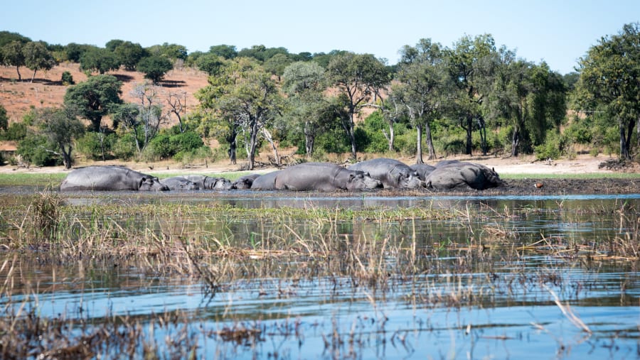 Chobe National Park