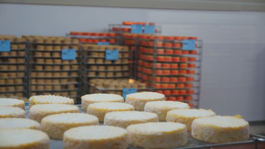 Normandy Gastronomic Tour