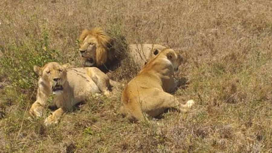 Tarangire National Park, Tanzania