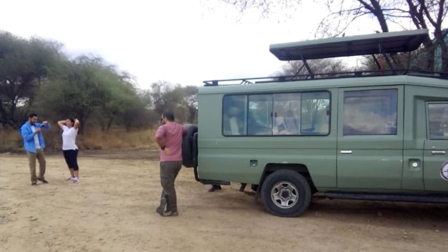 Go for game drives in Tarangire National Park