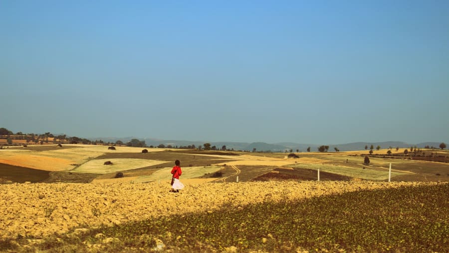 Agricultural Farmlands in Shan Village