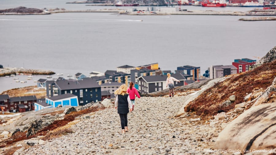 Nuuk Greenlandic Tea Tasting
