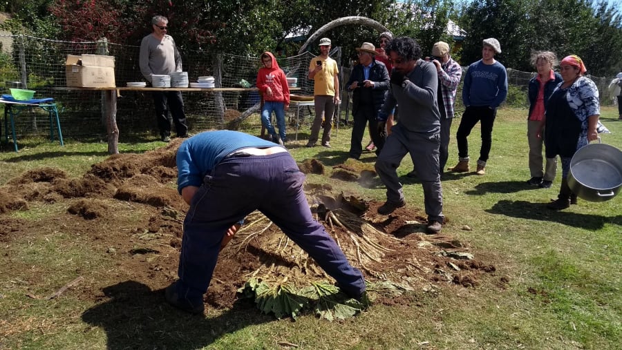 Tour del curanto en Chiloe