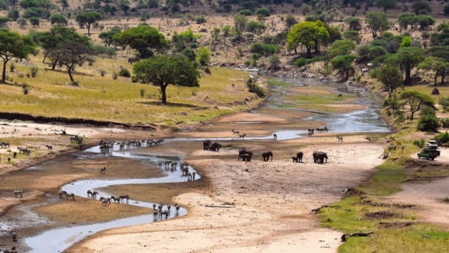 Marvel across the majestic views at Tarangire National Park