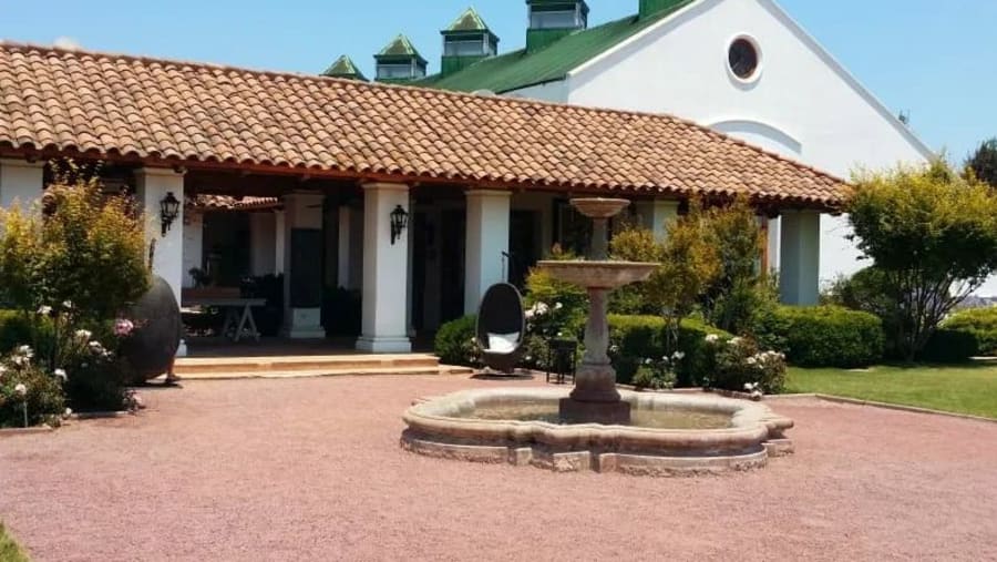 Casas del Bosque Vineyard