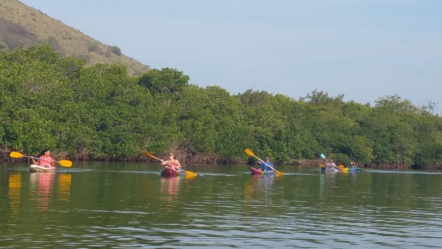 Barra de Potosi